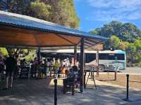 A Quokka Selfie, Ocean Breeze & Ferry Views – My Perfect Day at Rottnest Island!