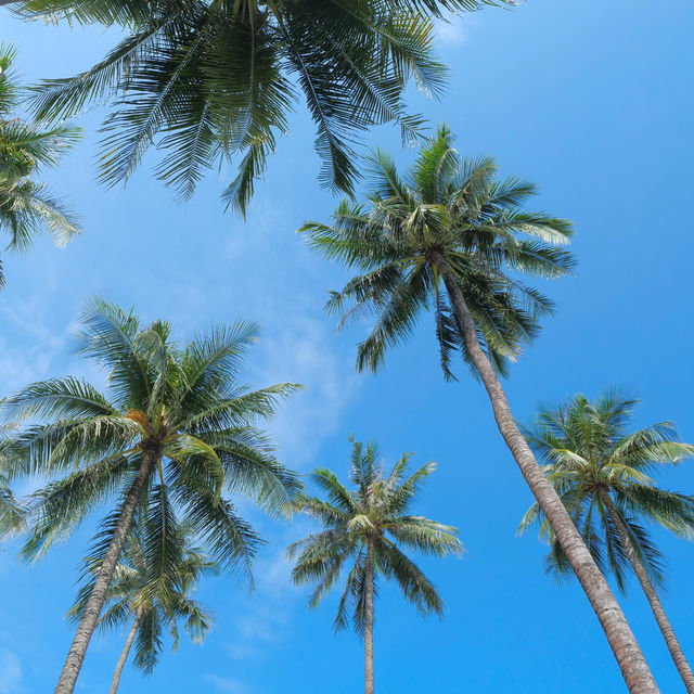 🌴AWA Koh Chang ที่พักเกาะช้างที่ถ่ายรูปสวยทุกมุม