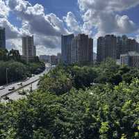  Harmony Bridge: Xiamen’s Skywalk Where Nature & Modern Design Embrace!