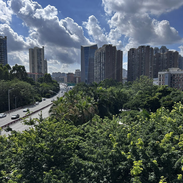  Harmony Bridge: Xiamen’s Skywalk Where Nature & Modern Design Embrace!