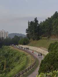 Hilltop Views & Pine Vibes – My Walk at Taman Saujana Hijau