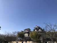 日本現存12天守-松山城