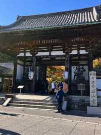 【紫式部も愛した絶景寺院🌸】石山寺で文学と自然の旅📖🍁