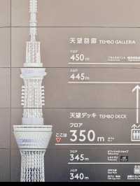 東京 東京スカイツリー 🌟