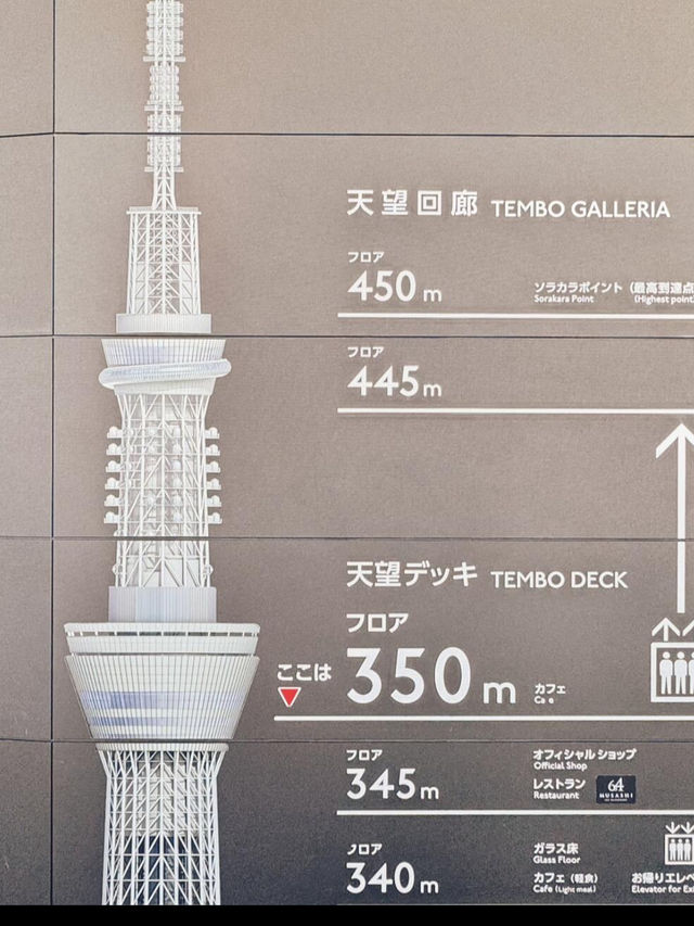 東京 東京スカイツリー 🌟