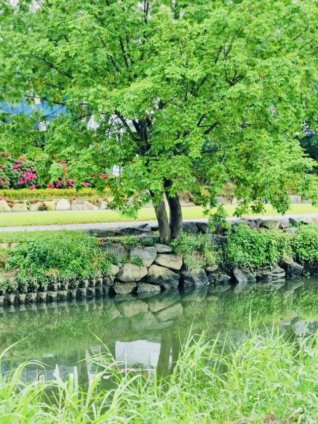Onchonchon Citizen's Park, Busan: A Riverside Oasis for Leisure and Recreation