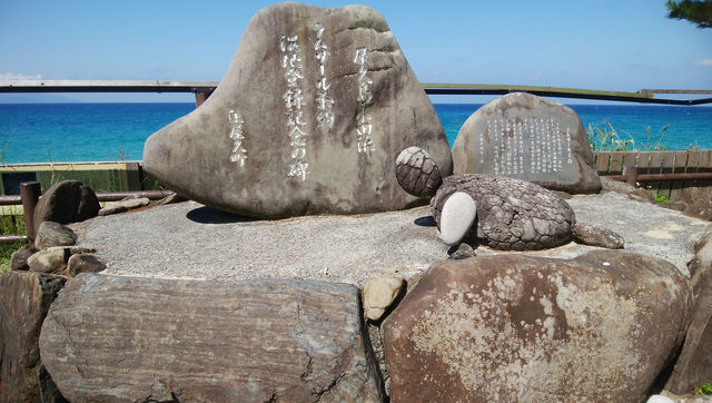 屋久島の青い海！永田いなか浜