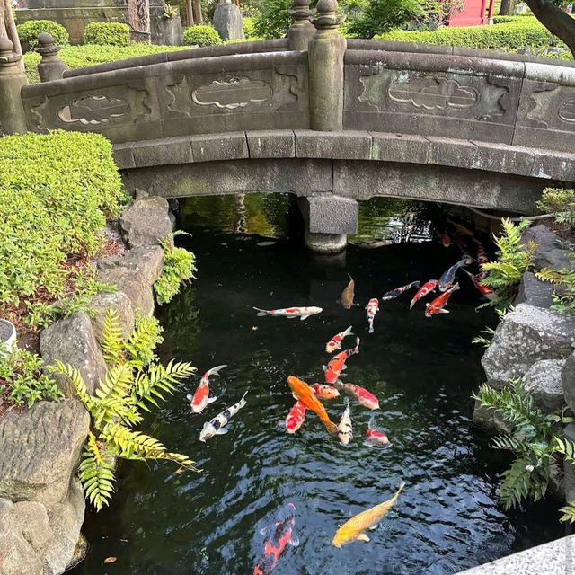 Senso-ji Temple (Asakusa)