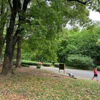 Yoyogi Park