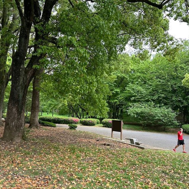 Yoyogi Park