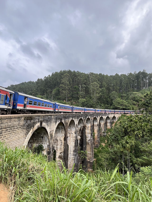🌉斯里蘭卡九孔橋拍照攻略｜絕美叢林列車，每一張都像宮崎駿電影