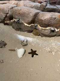 บางแสนก็แค่ปากซอย ไม่มีรถก็เที่ยวได้! 🌊🐠🦀