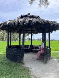 Peaceful Escape to Kampung Agong: Embracing Nature and Nostalgia