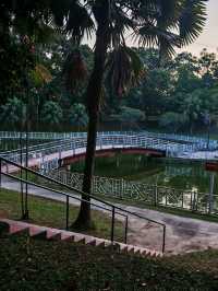 🌳 Taman Rakyat Klang – Where Chill Vibes Meet a Little Adventure