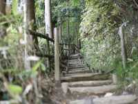 福岡必去景點之一：南藏院