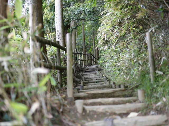 福岡必去景點之一：南藏院