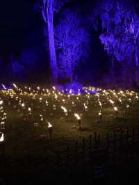 ✨ Magical Night at the Royal Botanic Gardens Melbourne 🌿🌌