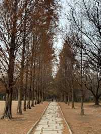 Seoul Forest เดินเล่นในหน้าหนาว🇰🇷