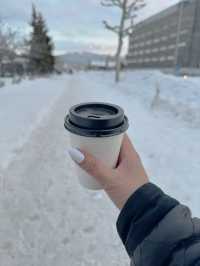 Is Hokkaido, Japan worth the hype?