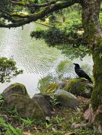 金澤｜兼六園涓流水泉之美