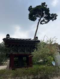 도심속의 사찰