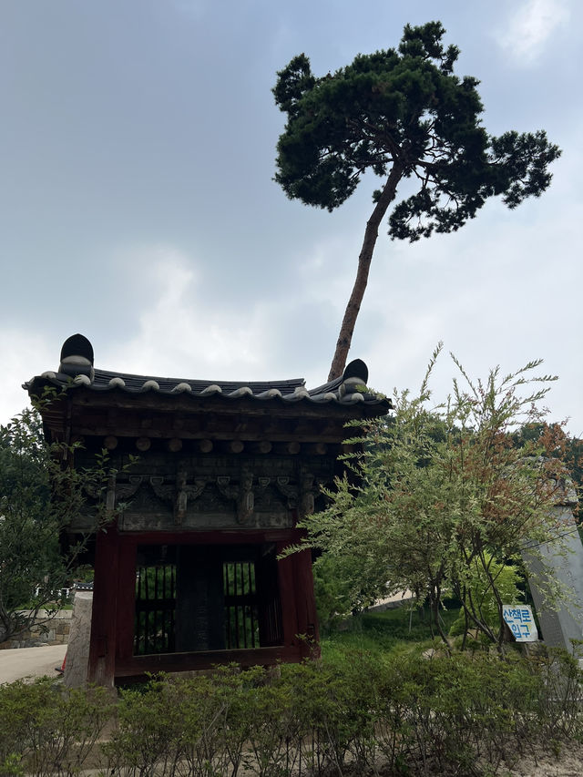 도심속의 사찰