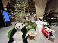 📚【方所 Fangsuo】A Hidden Gem Bookstore in Chengdu You Must Visit!✨
