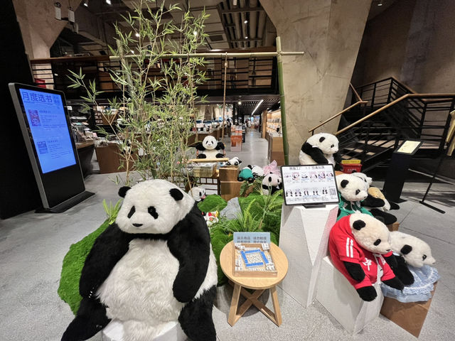 📚【方所 Fangsuo】A Hidden Gem Bookstore in Chengdu You Must Visit!✨