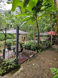 สมศรี มีกาแฟ  Somsee mee kafe บ้านปางไฮ