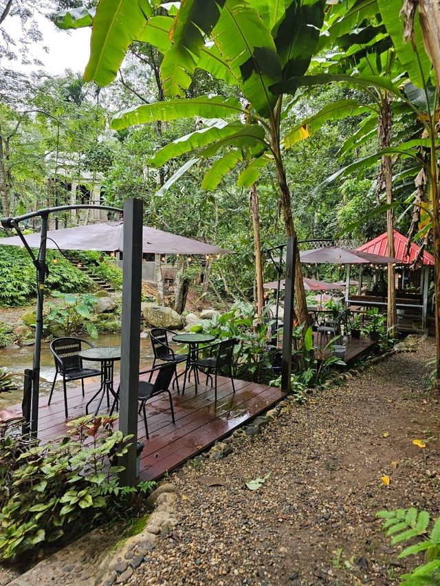 สมศรี มีกาแฟ  Somsee mee kafe บ้านปางไฮ