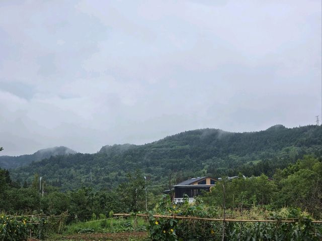  A Journey Through the Hills of Nanchong