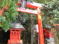 📍箱根・蘆之湖日記