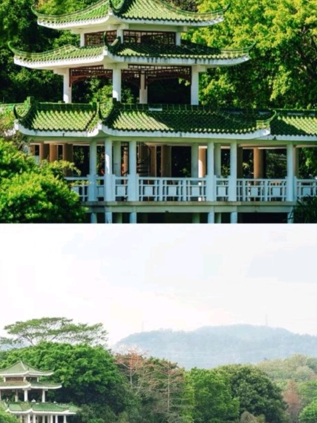 深圳中心公園｜藏在公園裏的宮崎駿☁️