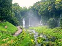 Whispers of Water: Shiraito Falls in Fujinomiya