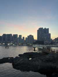 부산 해수욕장 옆의 화려한 산책로 🌊