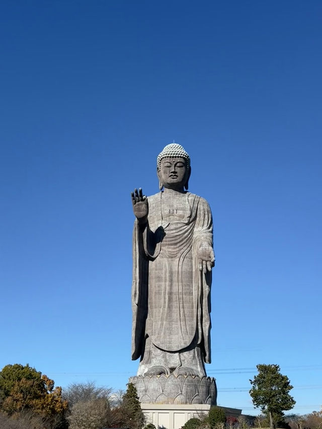 🇯🇵Ushiku Daibutsu — One of Japan’s Most Underrated Day Trips!