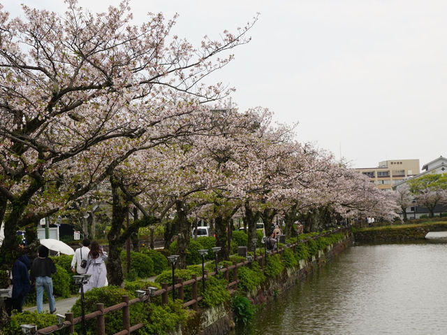 Odawara castle 