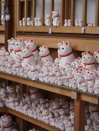🇯🇵 Tokyo Hidden Gem – Gotokuji Temple, the Lucky Cat Paradise! 🐱📍