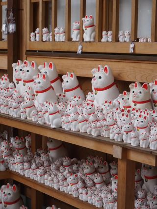 東京隱藏版瑰寶 – 豪德寺，招財貓天堂！