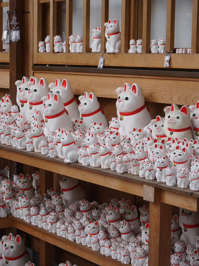 🇯🇵 Tokyo Hidden Gem – Gotokuji Temple, the Lucky Cat Paradise! 🐱📍