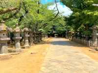Peaceful Strolls at Ueno Park – A Calm Corner in Tokyo