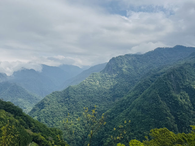 📍司馬庫斯-上帝的部落