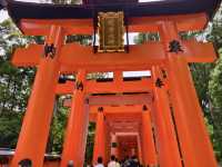 Japan Trip: Fushimi Inari, Uji & a Detour for Lucky Cats! 🇯🇵🐱
