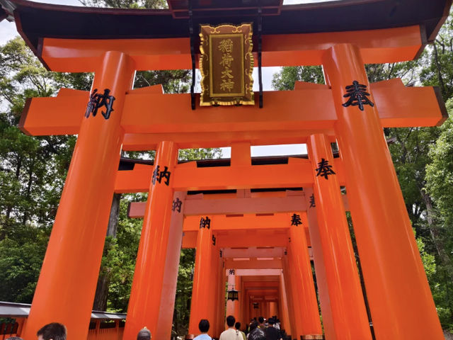 Japan Trip: Fushimi Inari, Uji & a Detour for Lucky Cats! 🇯🇵🐱
