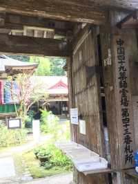 【断崖絶壁の国宝！三徳山投入堂で神秘の冒険旅⛰️】