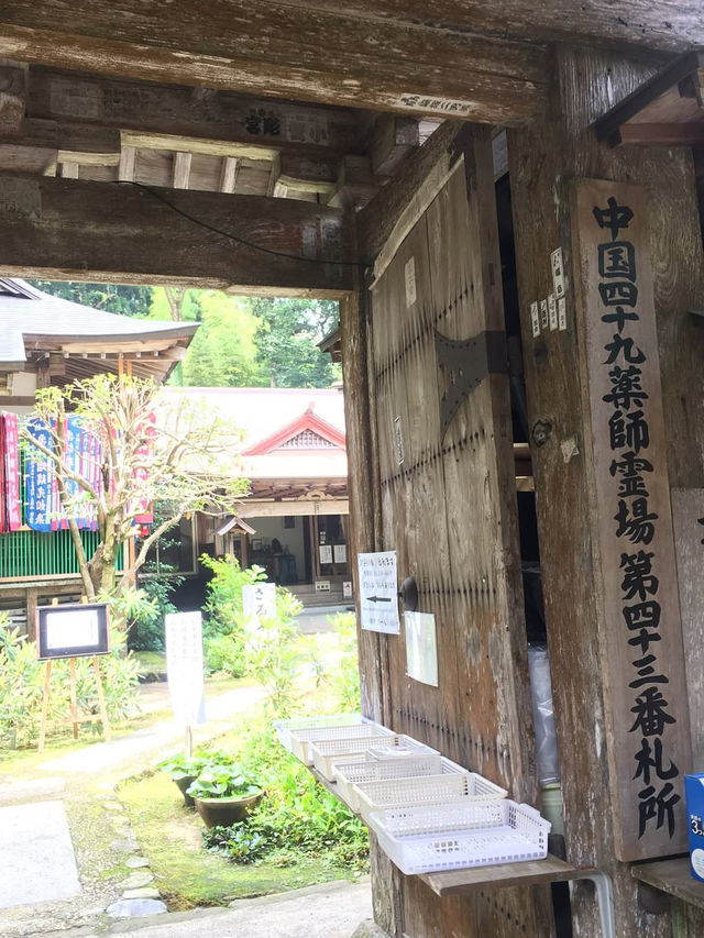 【断崖絶壁の国宝！三徳山投入堂で神秘の冒険旅⛰️】