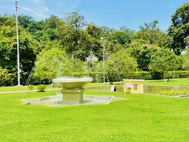 Truly a hidden gem in Penang 👍👫😎❤️