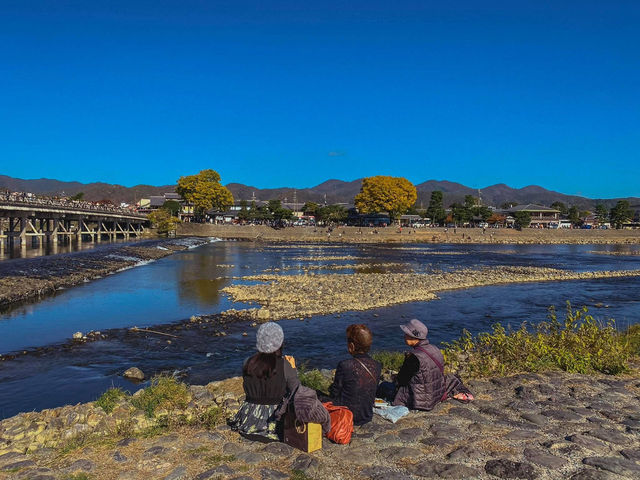 🌿 รีวิว Arashiyama & ป่าไผ่ 