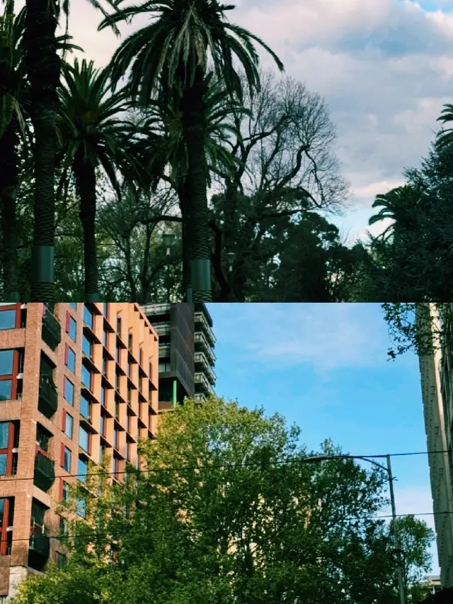 Melbourne, a Cultural Destination Infused with Art and Emotion