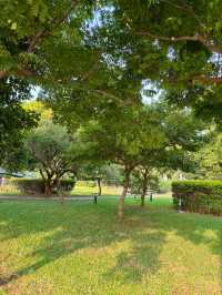 🌿城市裡的綠意綠洲：桃園《風禾公園》，親子野餐滑草超chill！